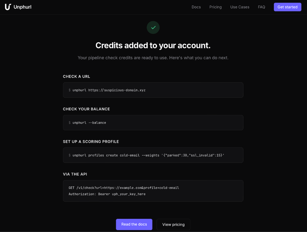 Stripe checkout success page showing credits added to your account